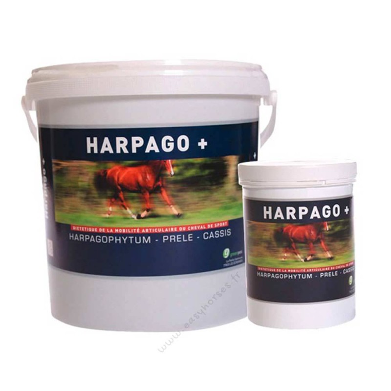 Concentré d'harpagophytum Harpagophyt - Paskacheval - PASKACHEVAL -  Locomotion cheval - Equestra